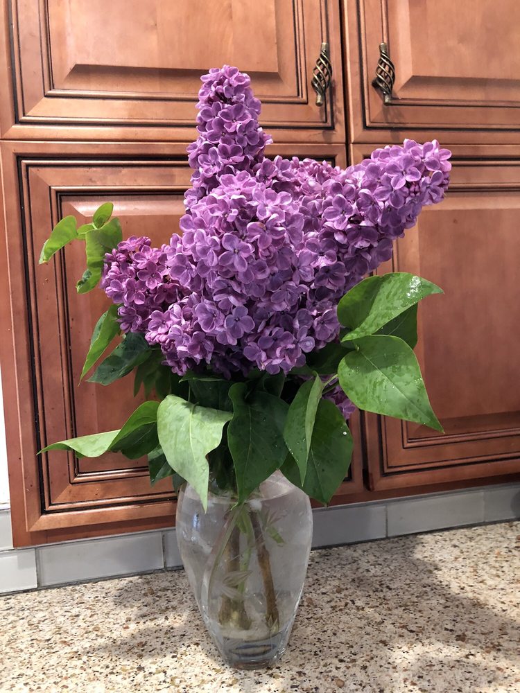 Mindy M.'s profile image