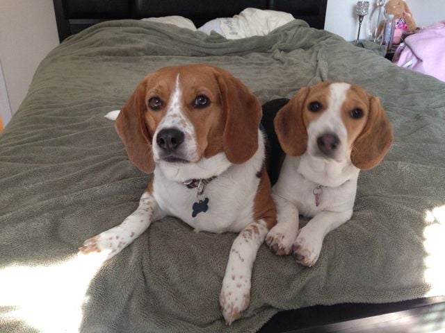 Samantha R.'s profile image