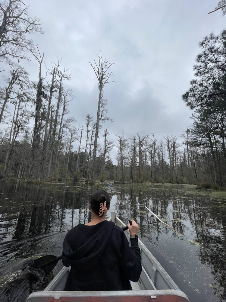 Julie D.'s profile image