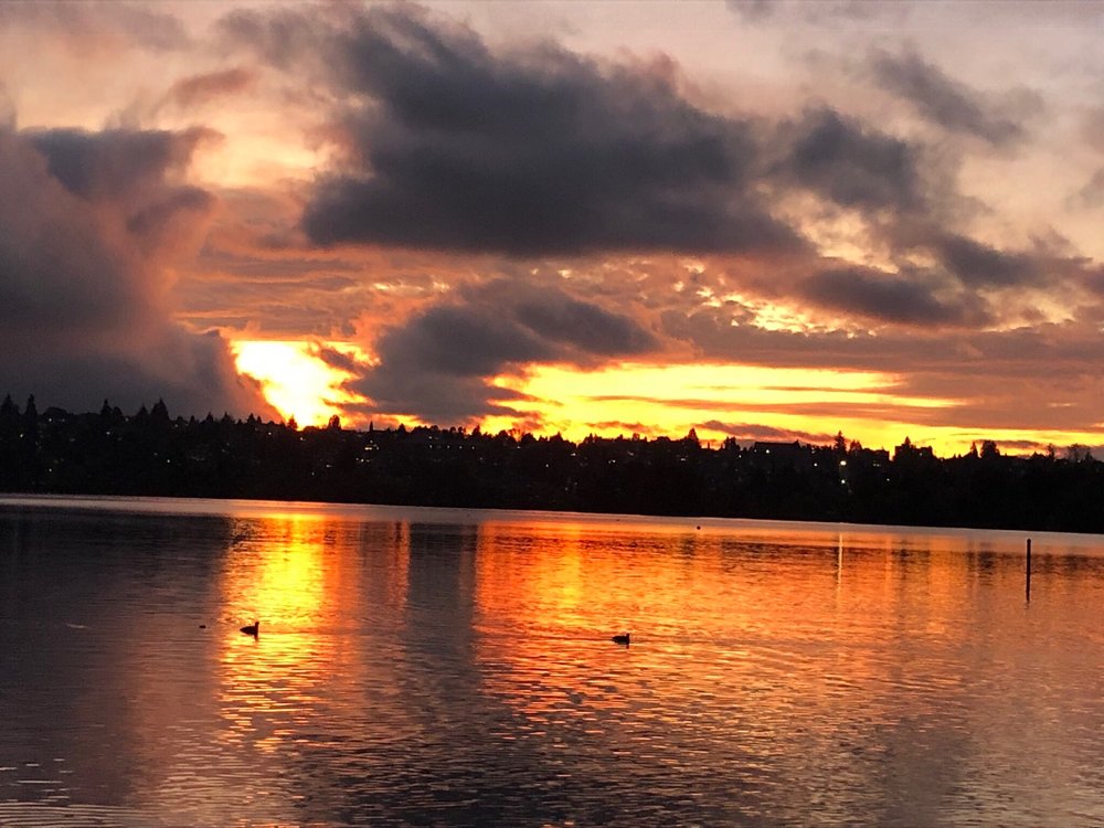 Lida T.'s profile image