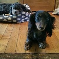 Robert A.'s profile image