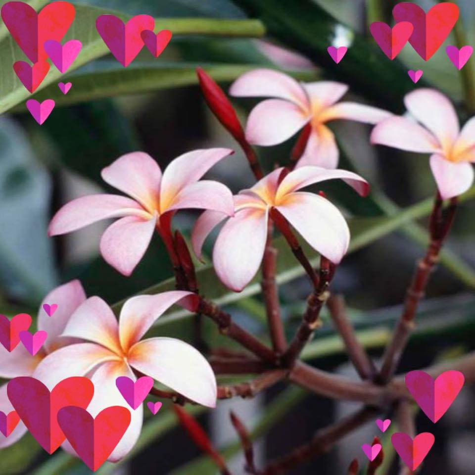 Joan S.'s profile image