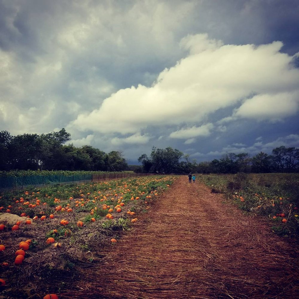 Cyndi T.'s profile image