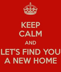 Cono N.'s profile image