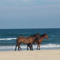 Mary Lou S.'s profile image