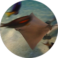 Jonathan Dorval's Profile Image