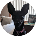 Barbara Staab's Profile Image