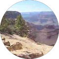 Dave McBride's Profile Image