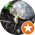 Jeanette Lau's Profile Image