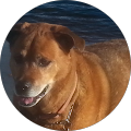 Scott Grimditch's Profile Image