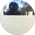 Andrew Drazek's Profile Image