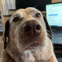 Gayle Gdc's profile image