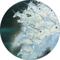 Profile Photo of tpika