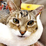 Jeffrey Z.'s profile image