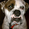 Susan B.'s profile image