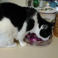 Suzanne Rooney's profile image