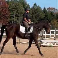 Jennifer Williams Burns's profile image