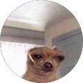 Persia Toussaint's Profile Image