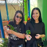 Julie Tillar's profile image
