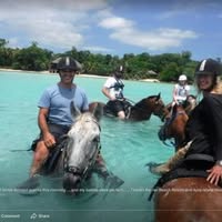 Karen Horvath's profile image
