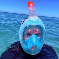 Paul Morris's profile image