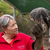Mel Brown's profile image