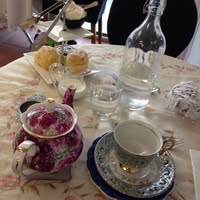 Milena Momcilovic's profile image