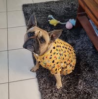 Karen Burgess's profile image