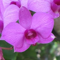 Leslie Hanson's profile image