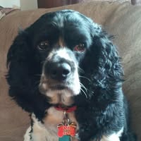 Julie Jeffrey's profile image