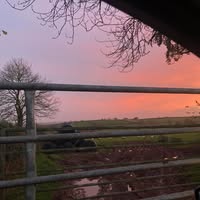 Catherine Rooke's profile image