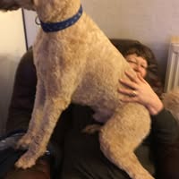 Rachel Smith's profile image