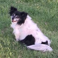 John C.'s profile image