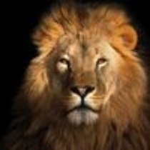 Anthony B.'s profile image