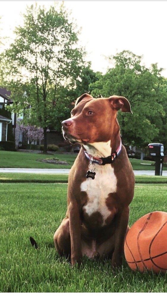 Tracey c.'s profile image