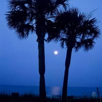 Matt Peters's profile image