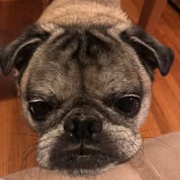 Cindy Newman's profile image