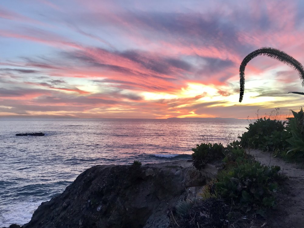 Ed L.'s profile image