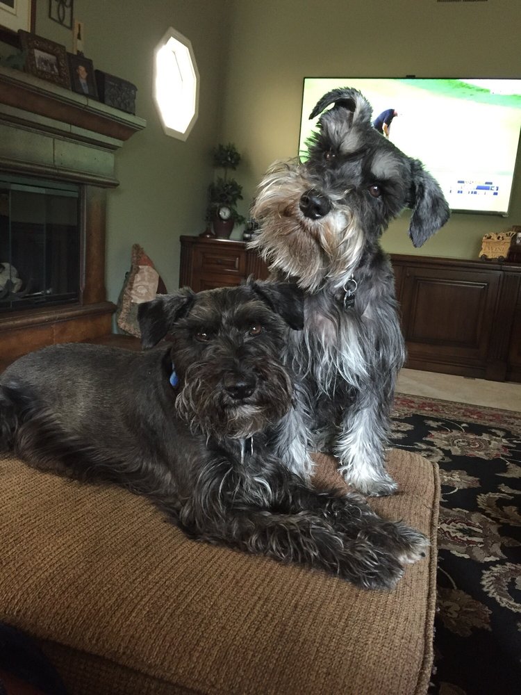 Sue W.'s profile image