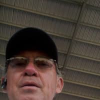 Mike Arnold's profile image