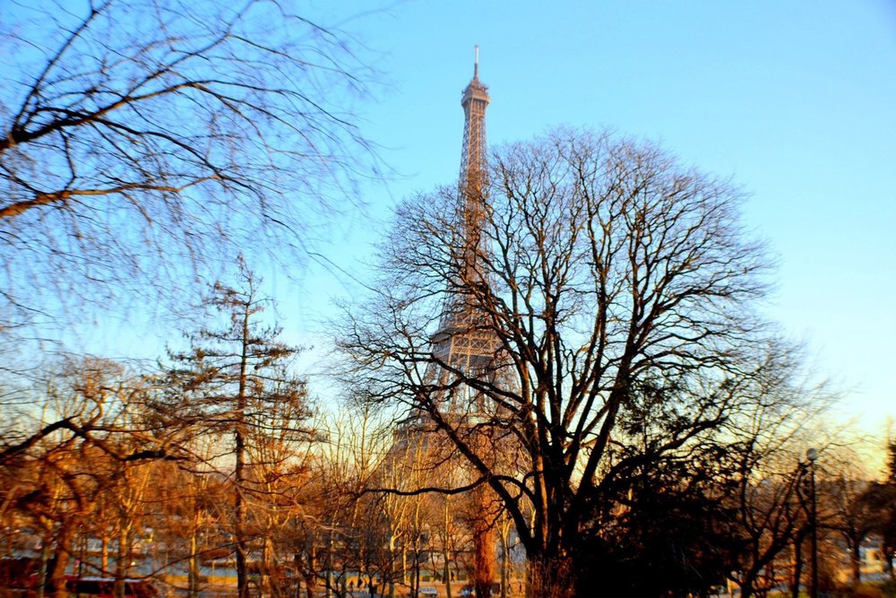 Eve F.'s profile image