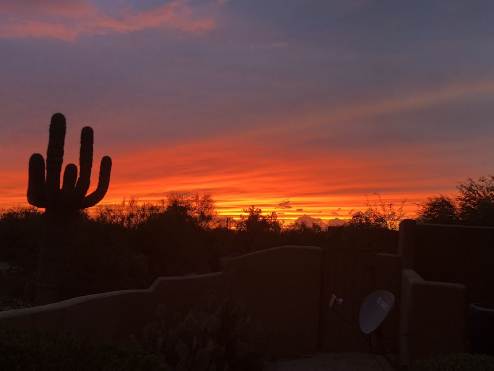 J L.'s profile image