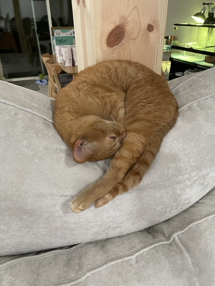 Miki M.'s profile image