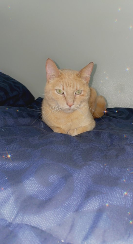 Karena S.'s profile image