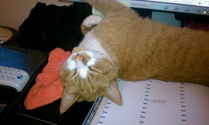 Marissa G.'s profile image