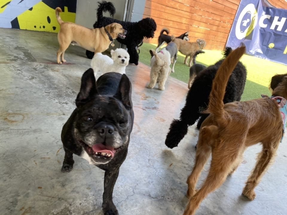 Carly S.'s profile image