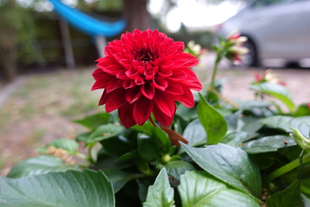 C. B.'s profile image