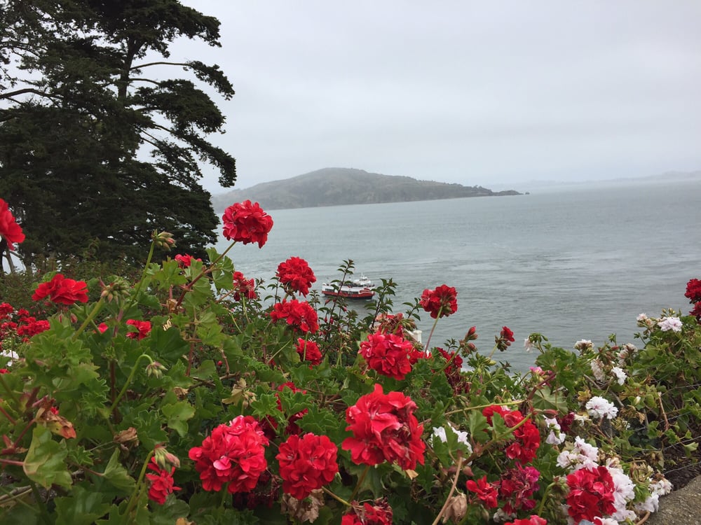 E F.'s profile image