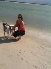 Ashley H.'s profile image