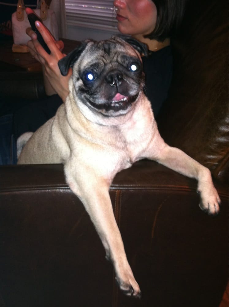 Bill J.'s profile image